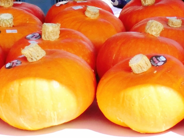 赤かぼちゃ収穫祭2